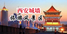 国产干逼www中国陕西-西安城墙旅游风景区